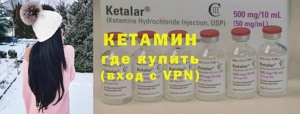 крисы Алексин