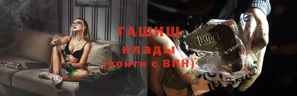 крисы Алексин