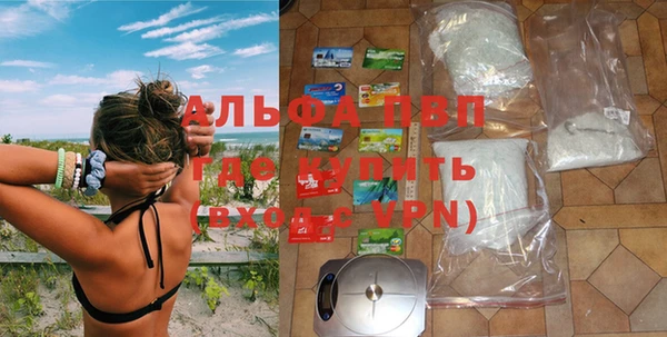 крисы Алексин