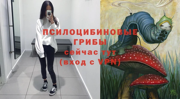 крисы Алексеевка