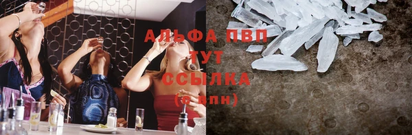 крисы Алексин