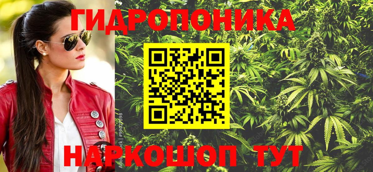 Конопля конопля Йошкар-Ола